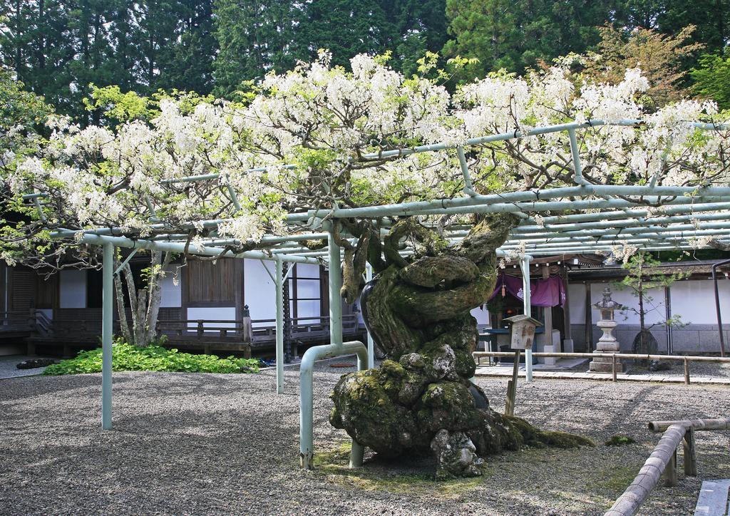 Hotel Sojiin Kōya-san Zewnętrze zdjęcie